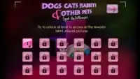Dogs Cats Rabbits and Pets HD Screen Shot 0