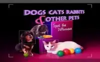 Dogs Cats Rabbits and Pets HD Screen Shot 2