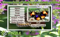 Free Butterfly Puzzle Games Screen Shot 3