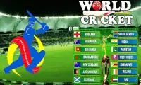 World Cricket Screen Shot 3