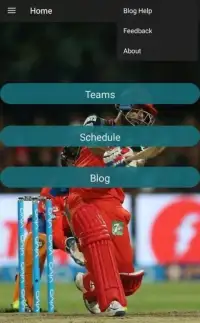 IPL Schedule 2017 Screen Shot 5