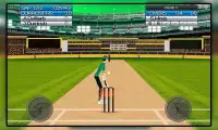 Let's Play Cricket Screen Shot 3