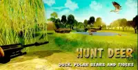 Hunting : Deer Hunter 2017 Screen Shot 1