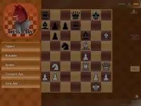 Chess-A-Day Screen Shot 9