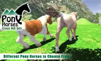 Pony Horses Green Hill Sim 3D Screen Shot 10