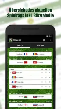 Goal Alarm! France 2016 Screen Shot 2