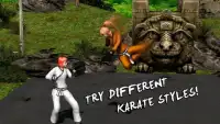 Karate Fighting Tiger 3D Screen Shot 4