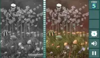 Hidden Difference: May Flowers Screen Shot 3