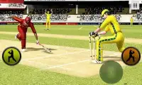 BBH Cricket Worldcup Screen Shot 0