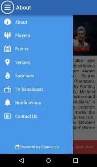 Cricket All Stars 2015 Screen Shot 6