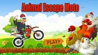 Animal Escape Moto - Fun Games Screen Shot 3