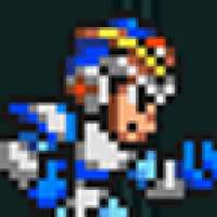 Megaman Project X