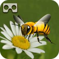 VR Brilliant Bee Adventure