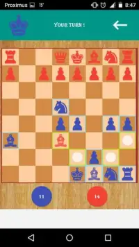 NS Chess Screen Shot 4