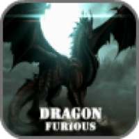 Dragon of Furious