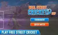 Real Street Cricket Cup 2017 Screen Shot 3
