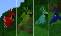 Mod Parrots for MCPE Screen Shot 0