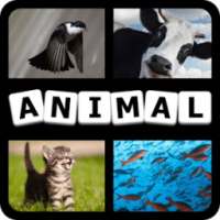 4 Pics 1 Animal