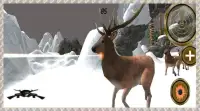 Deer Hunting Sniper Shoot 2016 Screen Shot 0