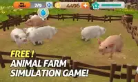 Duck Farm 3D Screen Shot 5