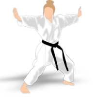 Karate All Shotokan Katas