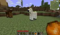 Horse Mods for Minecraft PE Screen Shot 2