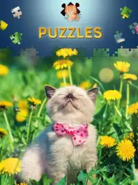 Cats Jigsaw Puzzles Free Screen Shot 2