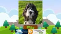 Dog Names: Dog Breeds Games Screen Shot 12