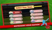 Cricket World Cup 2015 Screen Shot 2