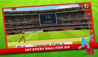 Cricket World Cup 2015 Screen Shot 6