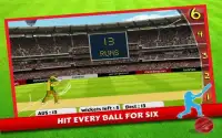 Cricket World Cup 2015 Screen Shot 14