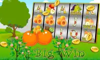 Fruit Mania Mega Casino Slots Screen Shot 1