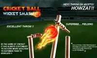 Cricket Ball Wicket Smash Screen Shot 1