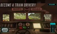 Real Mount Train Drive 3D Screen Shot 15
