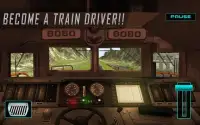 Real Mount Train Drive 3D Screen Shot 10
