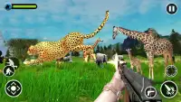 Animal Safari Hunter Screen Shot 2