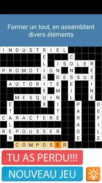 Crossword French Puzzles Game Screen Shot 3