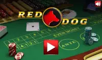 Red Dog - Online Casino Screen Shot 2