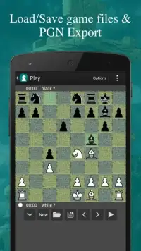 Super Chess Screen Shot 1