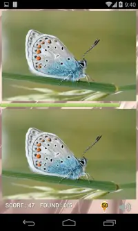 EyeSpy Butterfly Difference Game Screen Shot 1