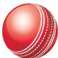 BPL T20 Cricket Updates