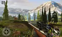 Safari Sniper Hunter 3D Screen Shot 0