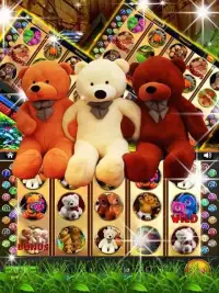Teddy bear slots – Free Spin Screen Shot 0