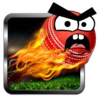 Cricket Game: Angry Style