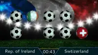 Euro Cup Flags 2016 Screen Shot 0