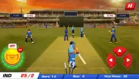 Power Cricket T20 Cup 2016 Screen Shot 4