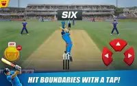 Power Cricket T20 Cup 2016 Screen Shot 7