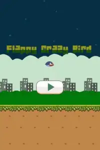 Flappy Crazy Bird Screen Shot 2