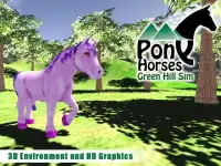 Pony Horses Green Hill Sim 3D Screen Shot 7