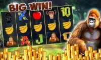 Slots Jungle Wild Kong Casino Screen Shot 1